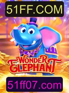 Explorando o Universo de WonderElephant